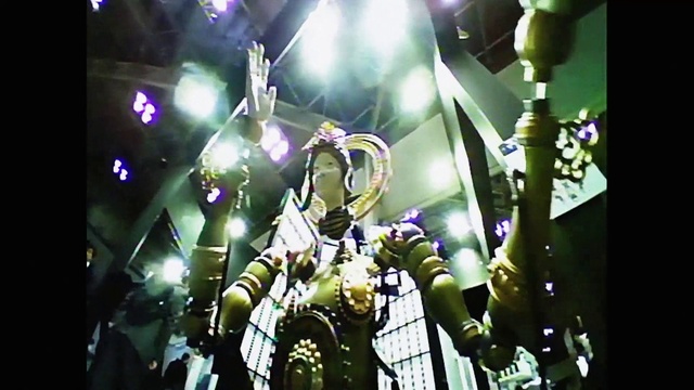 Video Reference: Plant, Light, Purple, Terrestrial plant, Audio equipment, Performing arts, Music artist, Entertainment, Music, Event