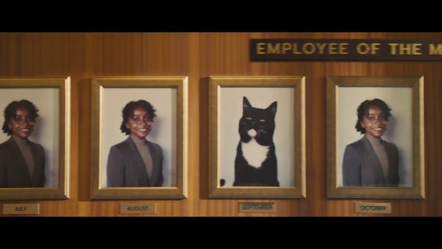 Video Reference: Dog, Carnivore, Art, Fawn, Picture frame, Event, Formal wear, Companion dog, Rectangle, Visual arts