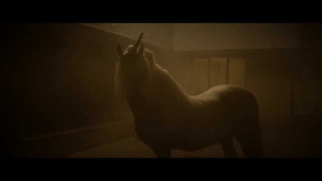 Video Reference: Horse, Sculpture, Grey, Art, Felidae, Wood, Terrestrial animal, Tints and shades, Snout, Painting