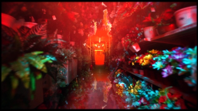 Video Reference: Entertainment, Visual effect lighting, Magenta, Art, Music venue, Crowd, Fun, Event, Electronic device, Technology