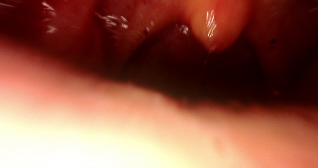 Video Reference: Nose, Head, Lip, Arm, Eye, Leg, Eyelash, Human body, Jaw, Neck