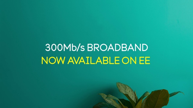 Video Reference: Terrestrial plant, Font, Aqua, Plant, Electric blue, Graphics, Brand, Science, Logo, Groundcover