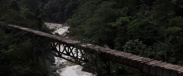 Video Reference: Water, Plant, Fluvial landforms of streams, Tree, Riparian zone, Natural landscape, Wood, Formation, Landscape, Mountain river