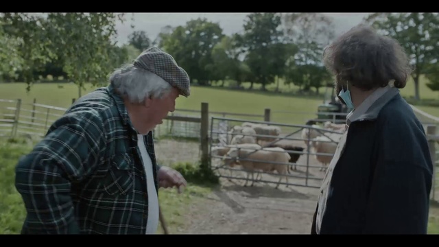 Video Reference: Plant, Tree, Grass, Jacket, Recreation, Grass family, Fence, Baseball cap, Landscape, Cap