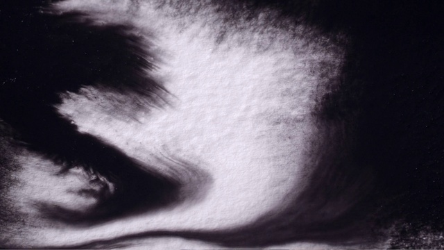 Video Reference: Nose, Cloud, Eyelash, Jaw, Neck, Tints and shades, Art, Whiskers, Snout, Sky