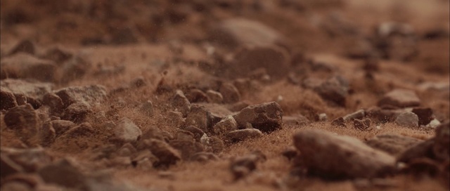 Video Reference: Wood, Plant, Terrestrial animal, Bedrock, Scaled reptile, Landscape, Natural landscape, Snake, Grass, Soil