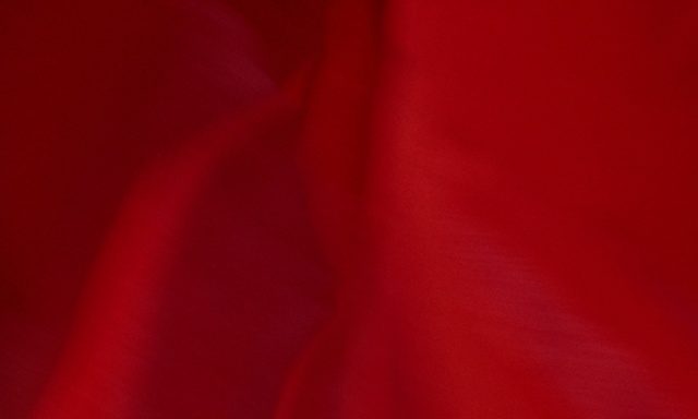 Video Reference: Sleeve, Petal, Plant, Red, Tree, Tints and shades, Silk, Magenta, Electric blue, Peach