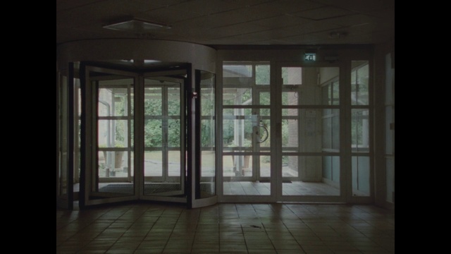 Video Reference: Building, Fixture, Window, Wood, Flooring, Door, Floor, Hardwood, Glass, Tints and shades