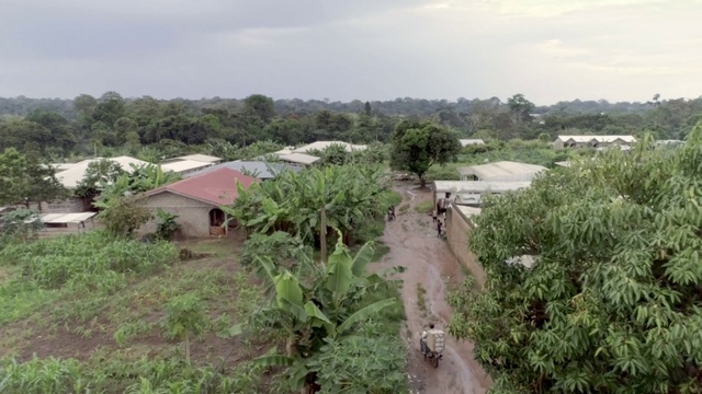 Video Reference: Plant, Sky, Ecoregion, Cloud, Land lot, Tree, Landscape, Geological phenomenon, Road, Soil