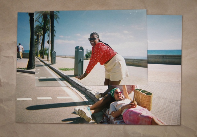Video Reference: Cloud, Plant, Sky, Wood, Art, Tree, Luggage and bags, Travel, Tints and shades, Leisure