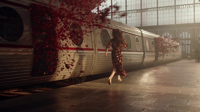 Video Reference: Electricity, Art, Tree, Rolling, Railway, Tints and shades, Public transport, Track, Rolling stock, City