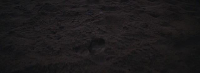 Video Reference: Wood, Road surface, Asphalt, Flooring, Landscape, Soil, Horizon, Concrete, Darkness, Pattern