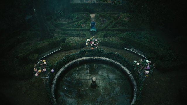 Video Reference: Circle, Asphalt, Symmetry, Terrestrial plant, Darkness, Space, Road surface, Art, Landscape, Pattern