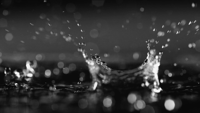 Video Reference: Liquid, Water, Fluid, Moisture, Tints and shades, Dew, Drop, Precipitation, Transparent material, Pattern