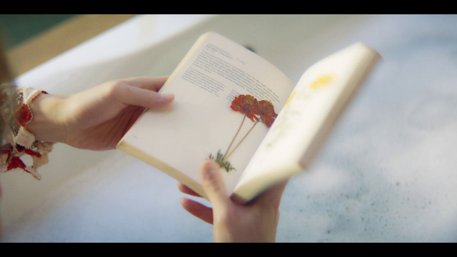 Video Reference: Hand, Flower, Gesture, Finger, Petal, Plant, Nail, Recipe, Thumb, Wrist