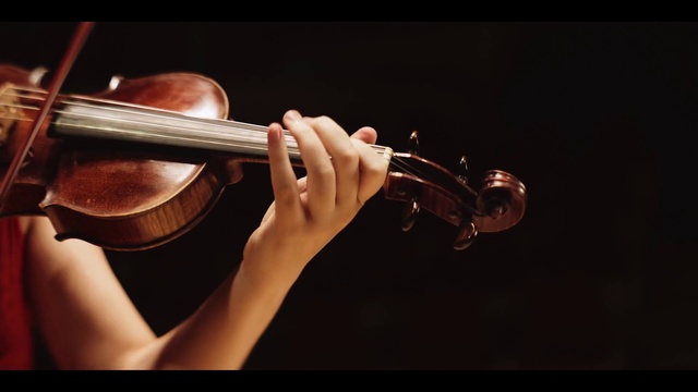 Video Reference: Musical instrument, String instrument, String instrument, Musician, Musical instrument accessory, String instrument accessory, Guitar accessory, Classical music, Human body, Music