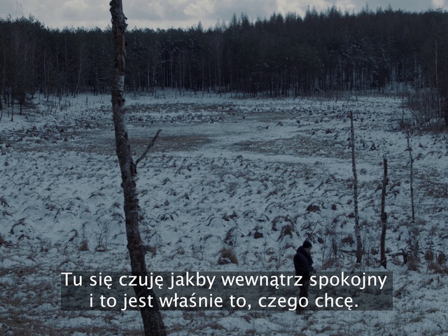 Video Reference: Plant, Natural landscape, Tree, Wood, Sky, Cloud, Grass, Landscape, Forest, Grassland