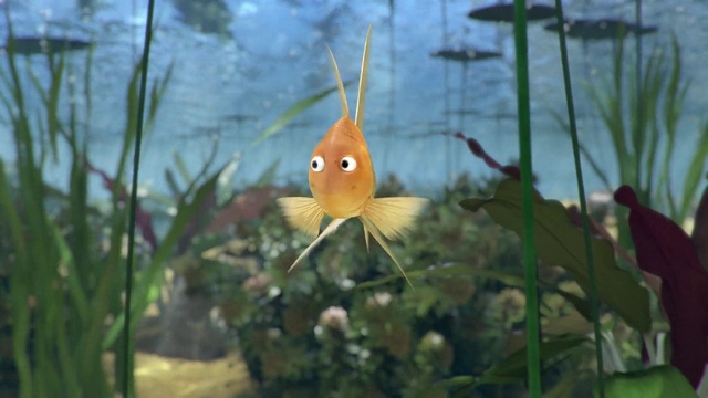 Video Reference: Water, Plant, Botany, Fish supply, Organism, Vegetation, Terrestrial plant, Fin, Grass, Fish