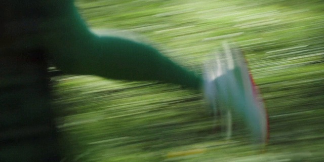 Video Reference: Water, Plant, Grass, Eyelash, Terrestrial plant, Tints and shades, Wood, Tree, Landscape, Feather