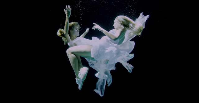 Video Reference: Flower, Water, Gesture, Performing arts, Art, Underwater, Entertainment, Marine biology, Flowering plant, Petal