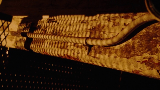 Video Reference: Wood, Reptile, Terrestrial animal, Metal, Pattern, Scaled reptile, Shadow