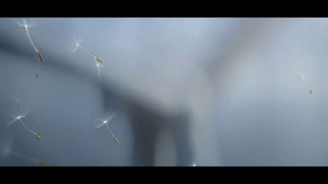 Video Reference: Sky, Cloud, Wind, Electric blue, Natural landscape, Meteorological phenomenon, Macro photography, Slope, Water, Landscape