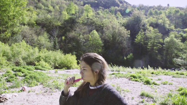 Video Reference: Plant, Plant community, Mountain, Nature, People in nature, Natural environment, Natural landscape, Tree, Vegetation, Outdoor recreation