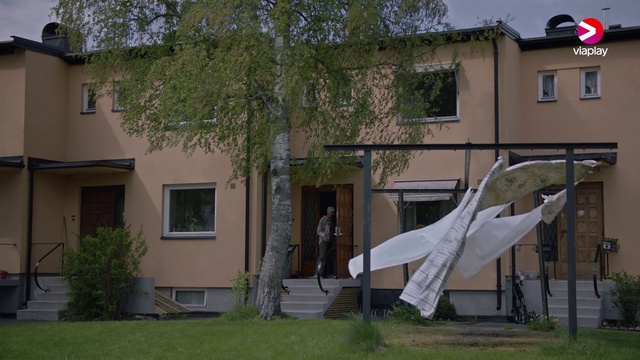 Video Reference: Plant, Window, Building, Tree, Neighbourhood, Residential area, Sculpture, Facade, Real estate, Grass