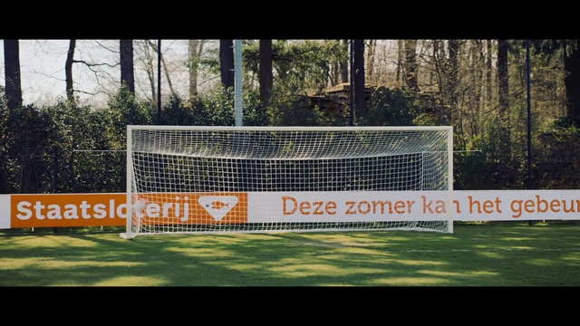 Video Reference: Soccer, Plant, Tree, Mesh, Player, Rectangle, Sports equipment, Grass, Ball game, Team sport