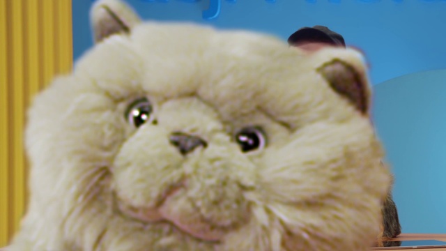 Video Reference: Fawn, Carnivore, Whiskers, Ear, Snout, Companion dog, Felidae, Stuffed toy, Toy, Fur