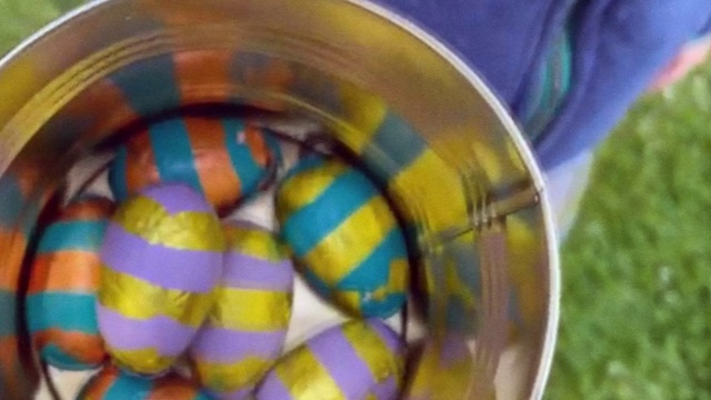 Video Reference: Snake, Reptile, Scaled reptile, Ball, Circle, Glass, Toy, Pattern, Electric blue, Plaid