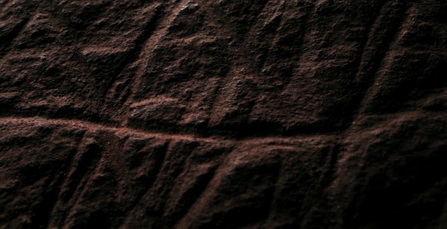 Video Reference: Brown, Wood, Bedrock, Trunk, Tints and shades, Flooring, Hardwood, Pattern, Wood stain, Plywood