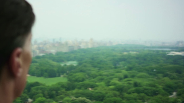 Video Reference: Sky, Plant, Cloud, Tree, Atmospheric phenomenon, Landscape, Fog, Grass, Grassland, Natural landscape
