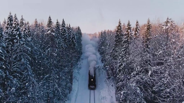 Video Reference: Sky, Plant, Snow, Slope, Tree, Natural landscape, Automotive tire, Evergreen, Freezing, Larch