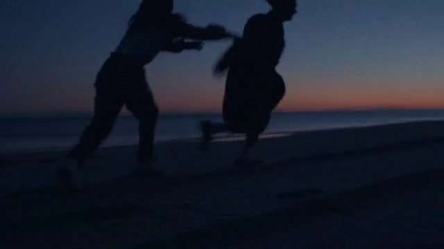 Video Reference: Water, Sky, Gesture, Flash photography, Dusk, People in nature, Happy, Landscape, Horizon, People on beach