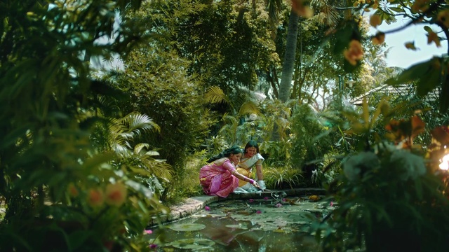 Video Reference: Plant, People in nature, Tree, Terrestrial plant, Vegetation, Grass, Leisure, Natural landscape, Tints and shades, Forest