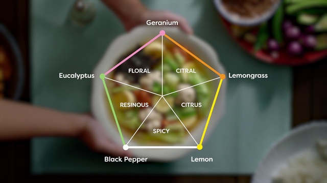 Video Reference: Flowerpot, Product, Nature, Organism, Gesture, Terrestrial plant, Font, Line, Adaptation, Houseplant