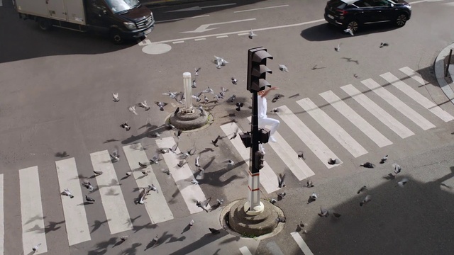 Video Reference: Car, White, Hood, Light, Automotive tire, Black, Vehicle, Automotive lighting, Motor vehicle, Line