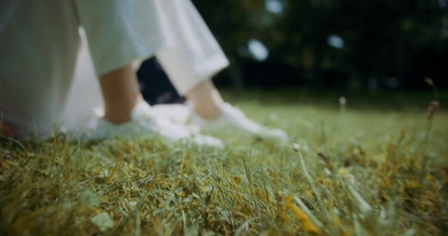 Video Reference: Plant, People in nature, Mammal, Gesture, Sunlight, Grass, Happy, Meadow, Grass family, Lawn