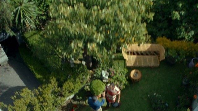 Video Reference: Plant, Tree, Biome, Terrestrial plant, Grass, Toy, Urban design, Leisure, Shrub, Landscape