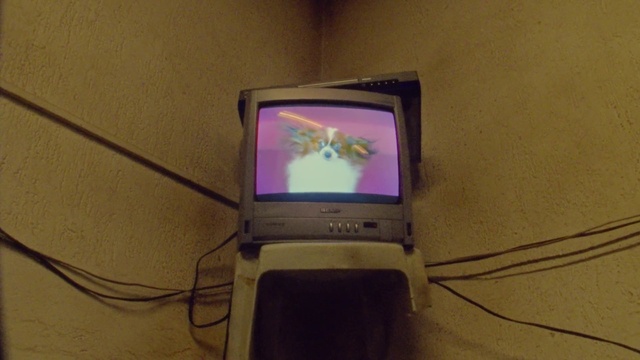 Video Reference: Output device, Personal computer, Laptop, Computer, Computer monitor accessory, Flat panel display, Gadget, Gas, Technology, Electronic device