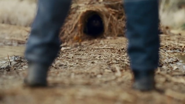 Video Reference: Automotive tire, Wood, Road surface, Human leg, Road, Landscape, People in nature, Grass, Geology, Soil