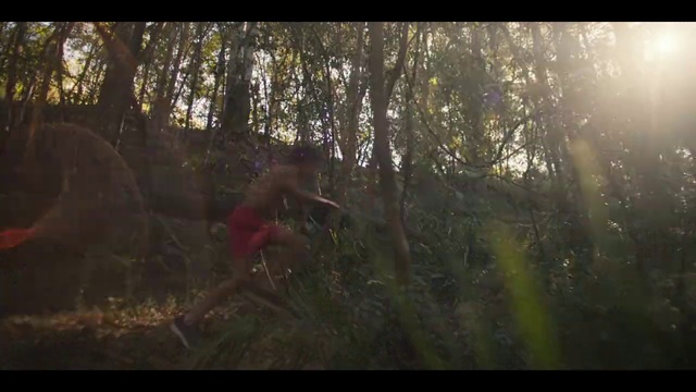 Video Reference: Plant, Natural environment, People in nature, Tree, Wood, Natural landscape, Sunlight, Grass, Terrestrial plant, Trunk