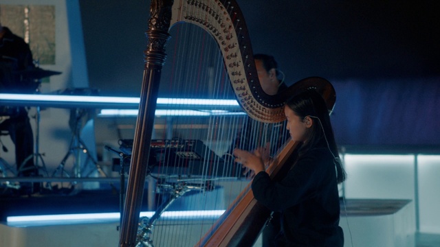 Video Reference: Harp, Musical instrument, Clàrsach, Musician, Hat, Music, String instrument, String instrument, Plucked string instruments, Folk instrument