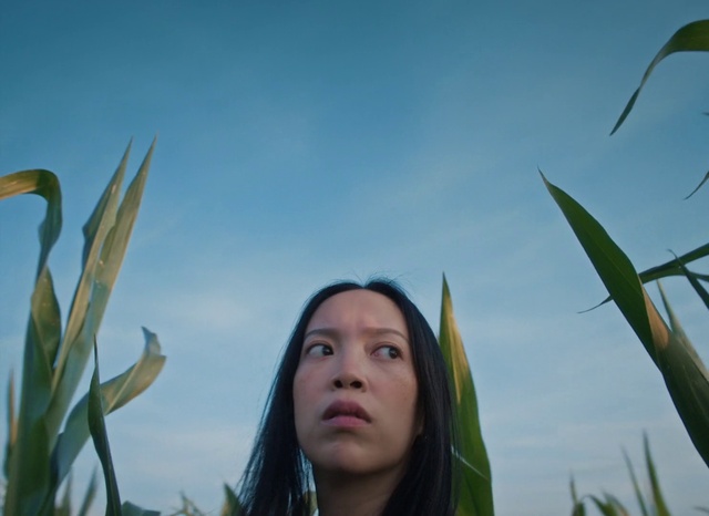 Video Reference: Hair, Face, Sky, Head, Eye, Plant, People in nature, Terrestrial plant, Flash photography, Happy