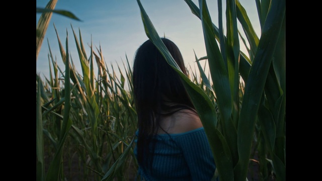Video Reference: Hair, Sky, Plant, Sunglasses, Grass, Happy, Terrestrial plant, Hat, Black hair, People in nature