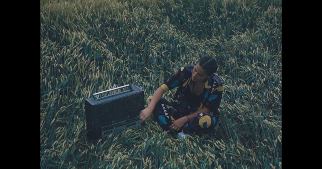 Video Reference: Ecoregion, Plant, People in nature, Grass, Grassland, Agriculture, Landscape, Grass family, Meadow, Bag