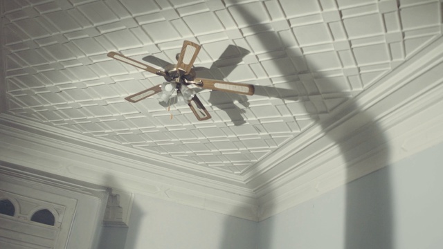 Video Reference: Ceiling fan, Wood, Line, Mechanical fan, Tints and shades, Symmetry, Beam, Space, Home appliance, Ceiling
