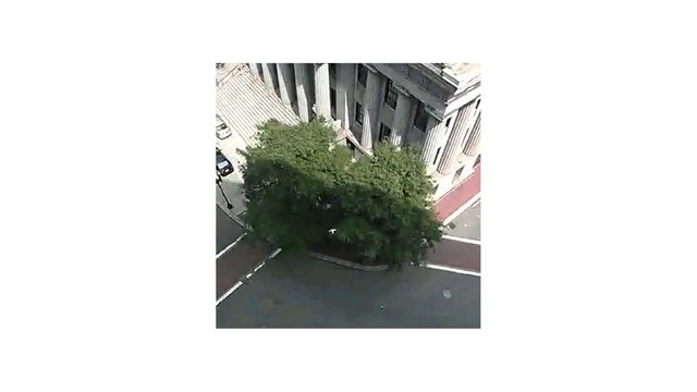 Video Reference: aerial, city street, street corner, tree, building, columns, urban, intersection, road, sidewalk, architecture, outdoor, daylight, overhead view