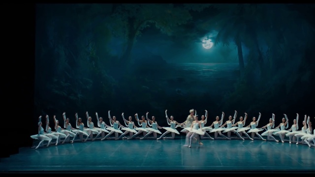 Video Reference: Vertebrate, Water, Entertainment, Performing arts, Choreography, Event, Performance art, Team, Darkness, Electric blue